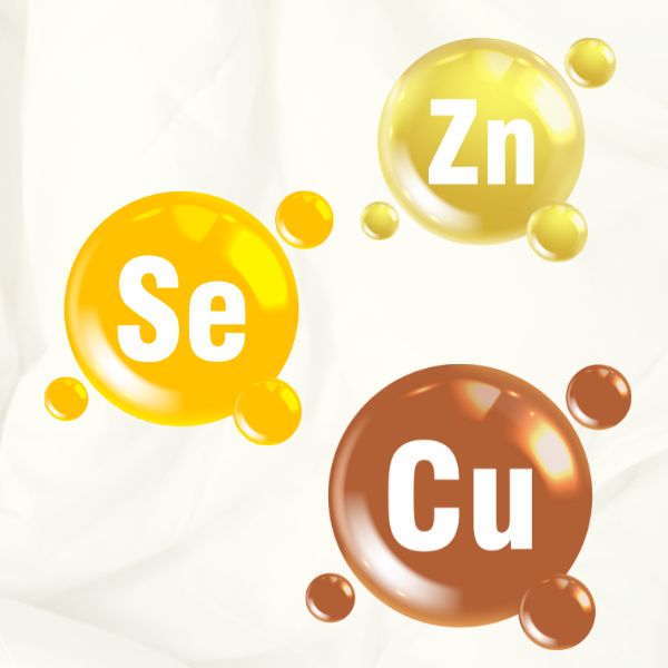 zinc selenio y cobre defensas